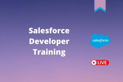 salesforce-developer