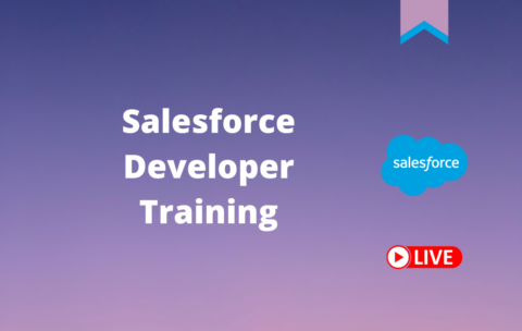 salesforce-developer