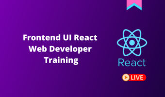 frontend ui react developer