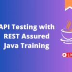 API Testing