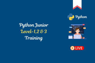 Python Junior